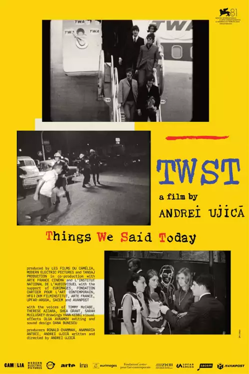 plakat filmu TWST / Things We Said Today