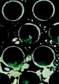 Plakat filmu Tańcząc Lambeth Walk