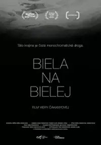 Plakat filmu Biel na bieli
