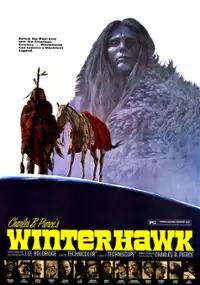Plakat filmu Zimowy Sokół