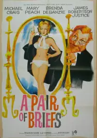 Plakat filmu A Pair of Briefs