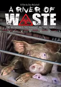 Plakat filmu Rzeka śmieci
