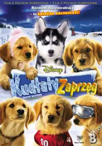 Plakat filmu Kudłaty zaprzęg