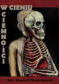 Plakat filmu W Cieniu Ciemności