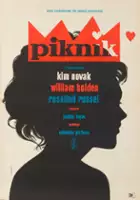 plakat filmuPiknik