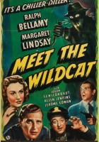 plakat filmu Meet the Wildcat