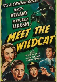 Plakat filmu Meet the Wildcat