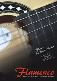 Plakat filmu Flamenco - nauka gry na gitarze