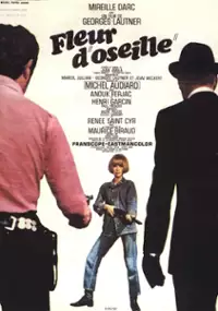 Plakat filmu Fleur d'oseille