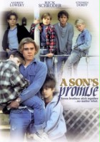 plakat filmu A Son's Promise