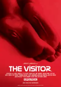 Plakat filmu The Visitor