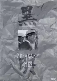 Plakat filmu Zbłąkany pies