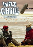 plakat filmu Chile: dzika podróż
