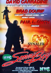 Plakat filmu Synalek