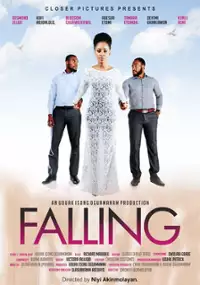 Plakat filmu Falling