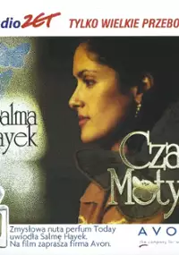 Plakat filmu Motyle