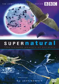 Plakat serialu Supernatural: The Unseen Powers of Animals