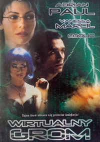 Plakat filmu Wirtualny grom