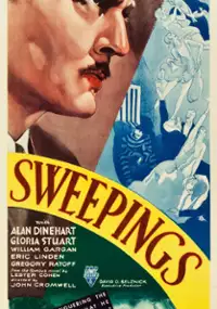 Plakat filmu Sweepings