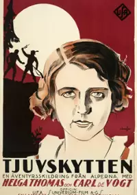 Plakat filmu Pokusa
