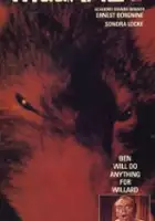 plakat filmu Szczury