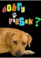 Edyta Zwiorek / Dobry piesek?