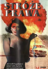 Plakat filmu Sex Crimes