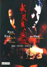 Plakat filmu Wo de mei li yu ai chou