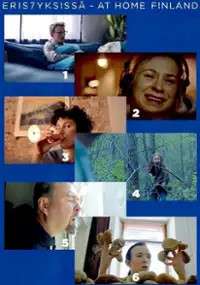 Plakat serialu W domu - Finlandia