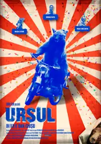 Plakat filmu Ursul