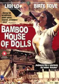 Plakat filmu Nu ji zhong ying
