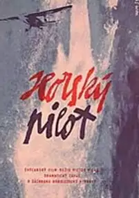 Plakat filmu SOS Gletscherpilot