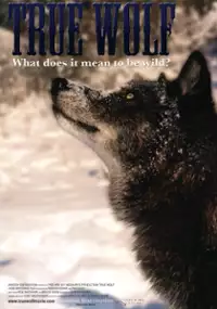 Plakat filmu True Wolf