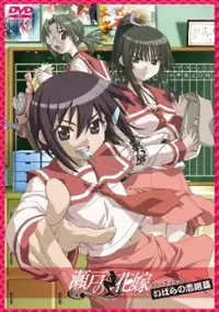 Plakat serialu Seto no Hanayome