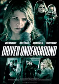 Plakat filmu W ukryciu