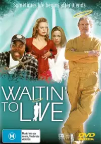 Plakat filmu Drugie wcielenie
