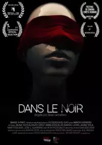 Plakat filmu Dans le noir