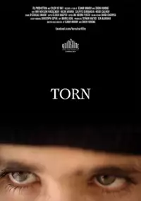 Plakat filmu Torn