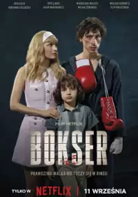 Bokser