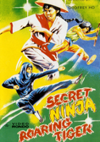 plakat filmu Injamun salsu