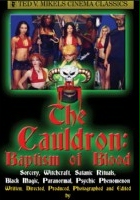 plakat filmu Cauldron: Baptism of Blood