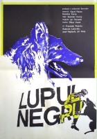plakat filmu Černý vlk