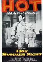 plakat filmu Hot Summer Night