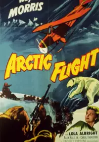 Plakat filmu Arctic Flight