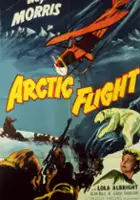 plakat filmu Arctic Flight