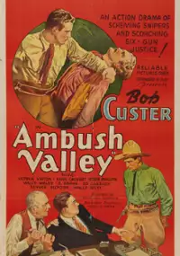 Plakat filmu Ambush Valley