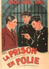 Plakat filmu La prison en folie