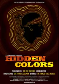 Plakat filmu Hidden Colors
