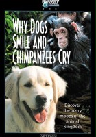 plakat filmu Dlaczego psy się śmieją, a szympansy płaczą