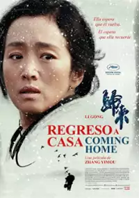 Plakat filmu Powrót do domu